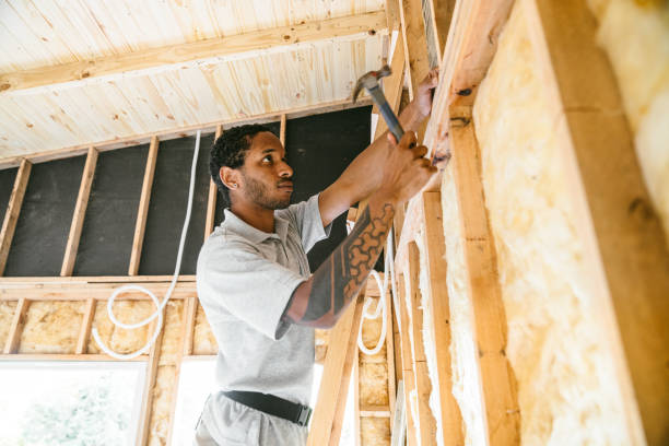 Best Attic Insulation Installation  in Hart, MI